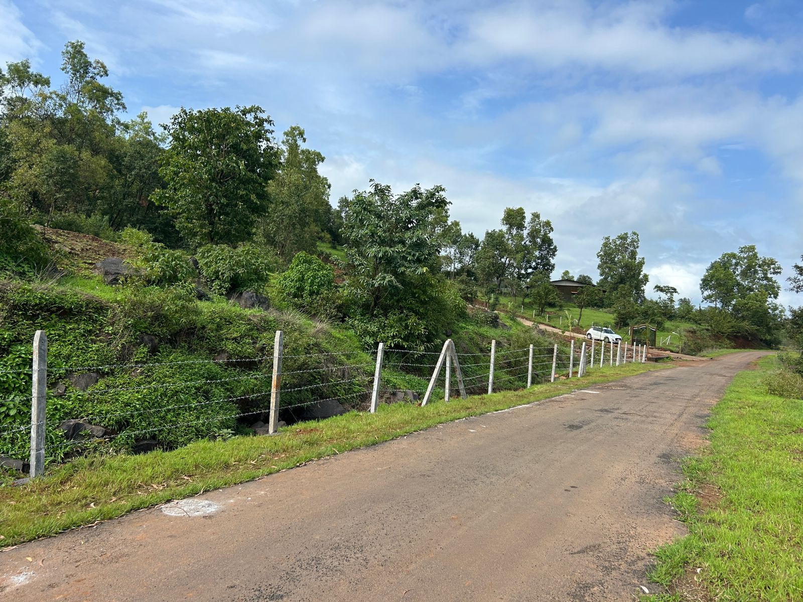 Raynovaa Haarvest Hills