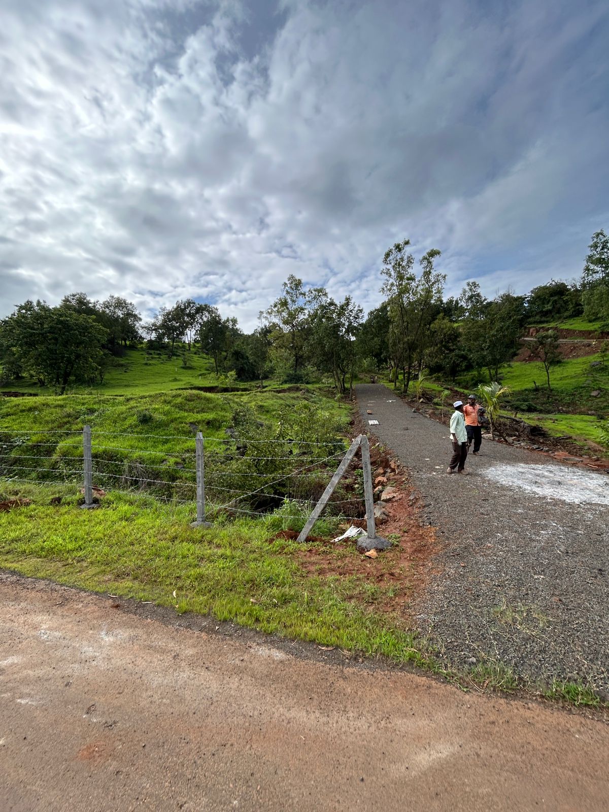 Raynovaa Haarvest Hills