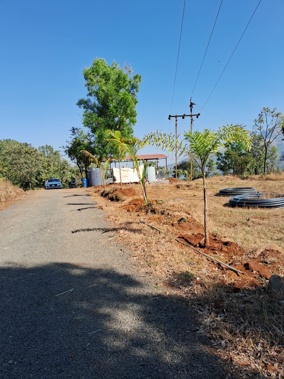 Raynovaa Haarvest Hills