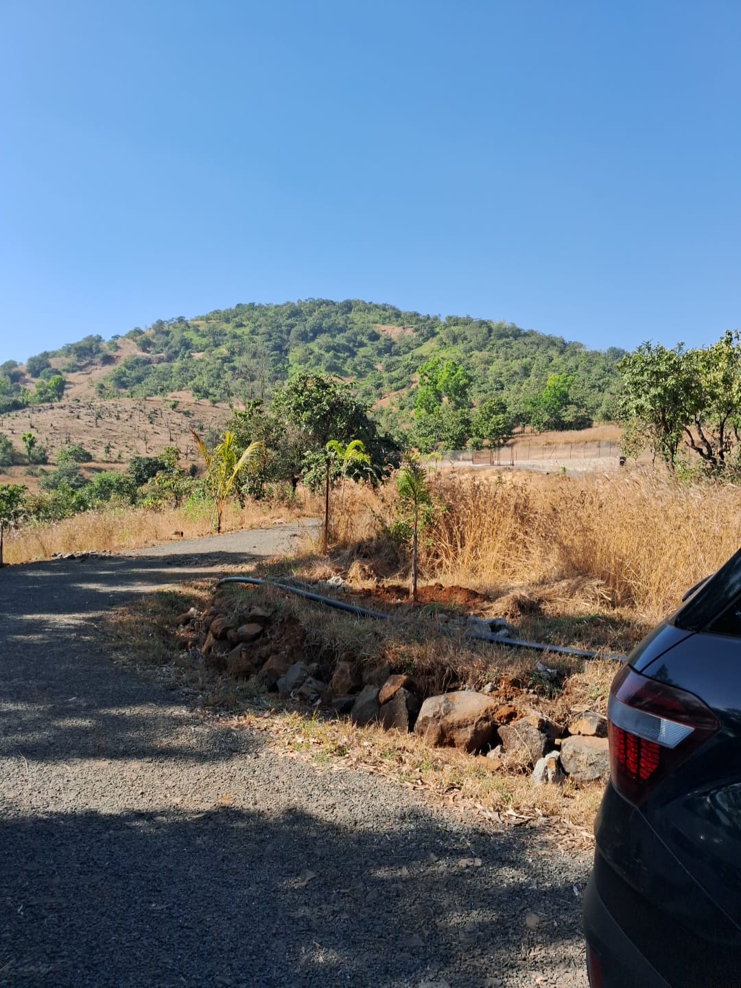 Raynovaa Haarvest Hills