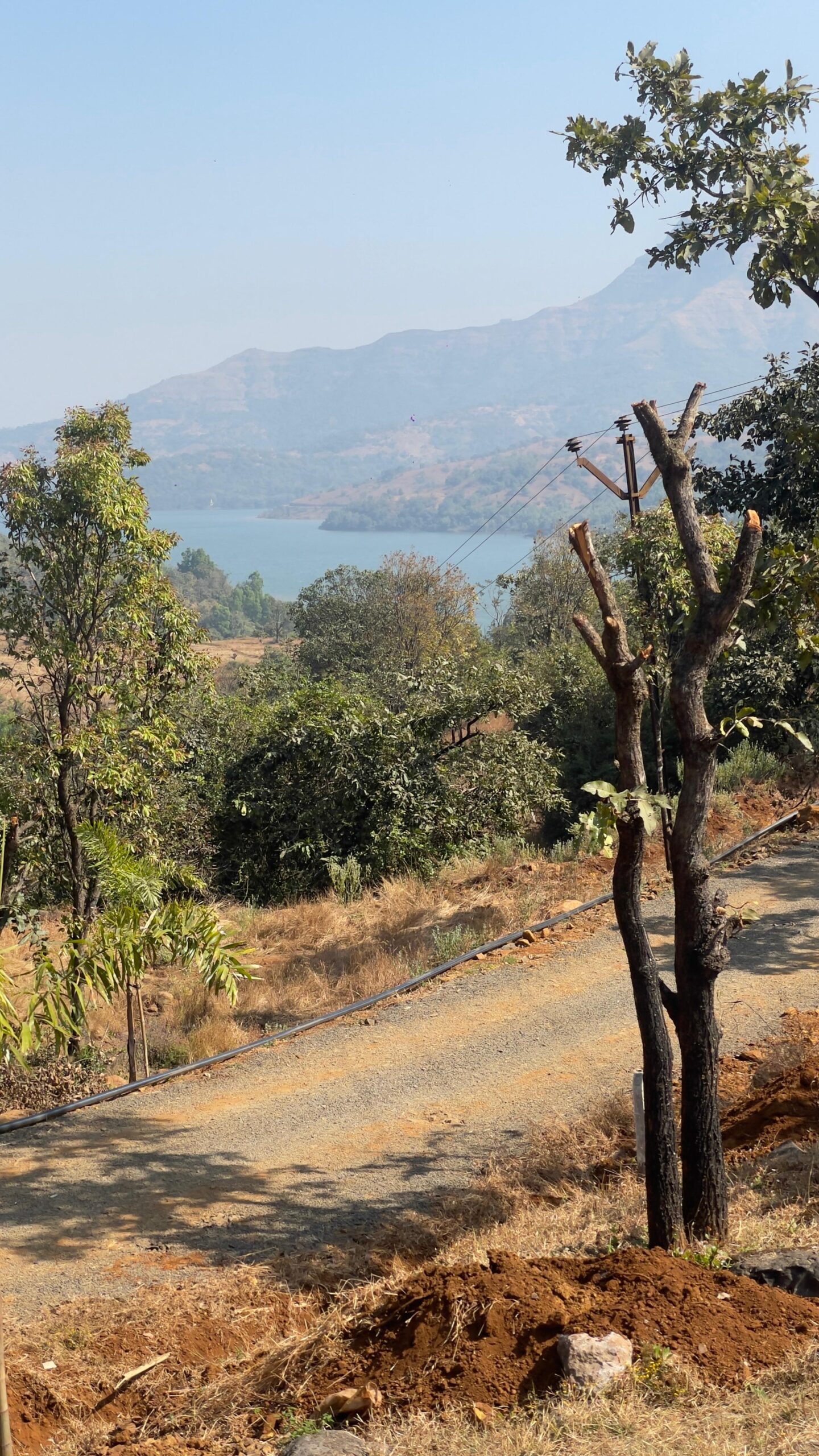 Raynovaa Haarvest Hills