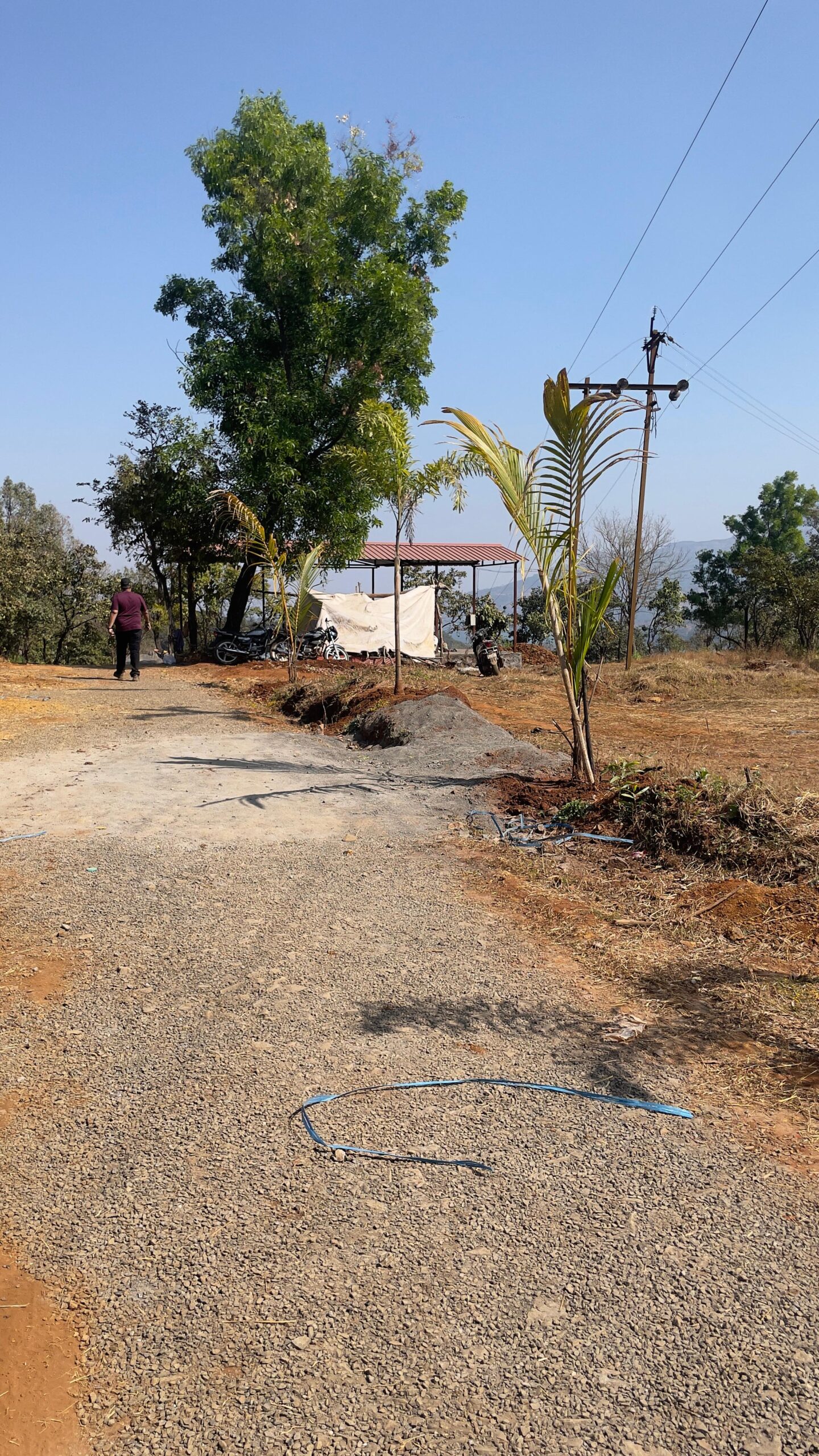 Raynovaa Haarvest Hills