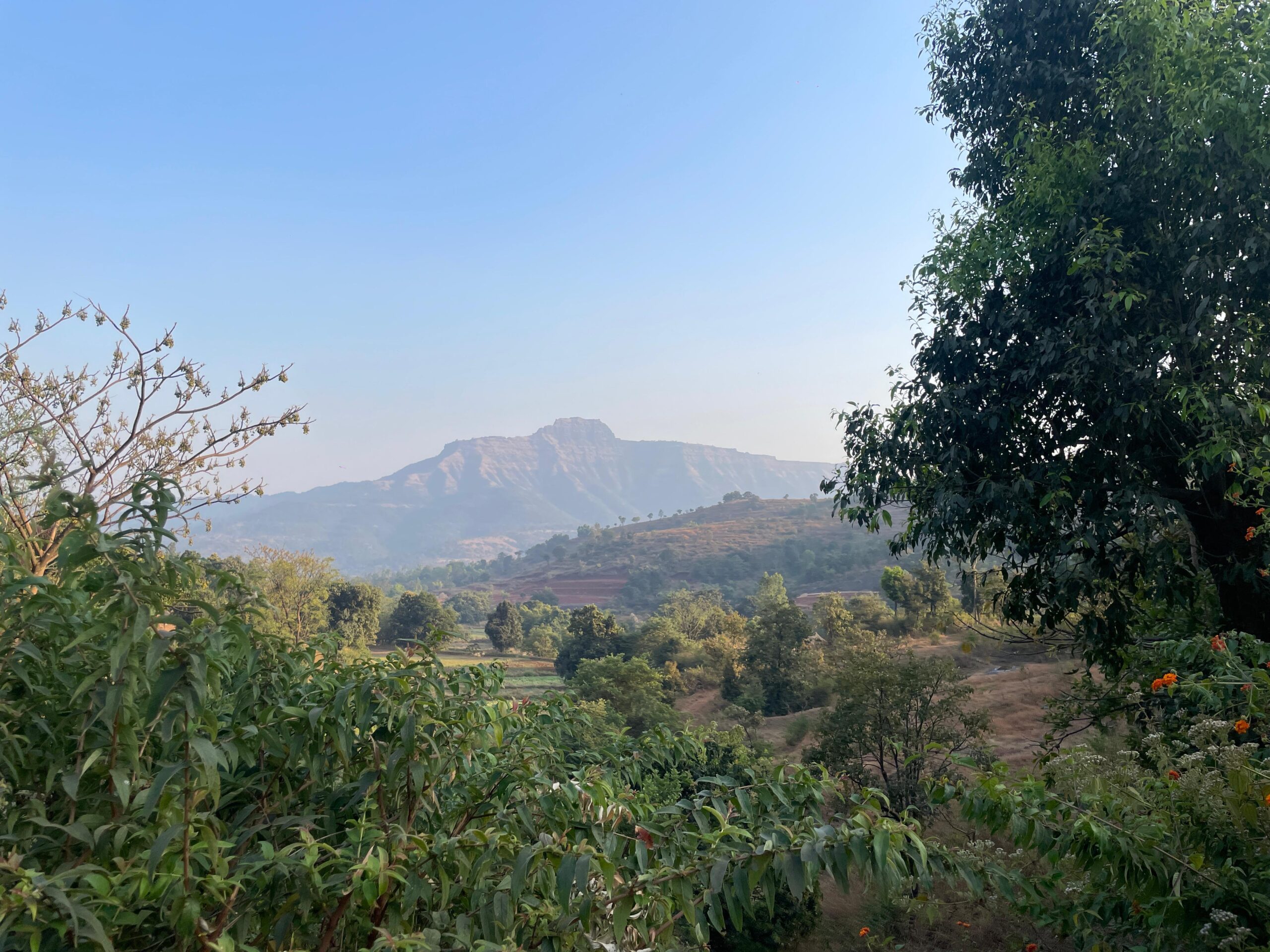 Raynovaa Haarvest Hills